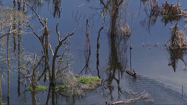 刚果:一名男子在因布洛人工湖中划独木舟视频下载