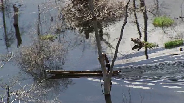 刚果:一名男子在因布洛人工湖中划独木舟视频素材