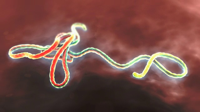 埃博拉病毒粒子视频素材