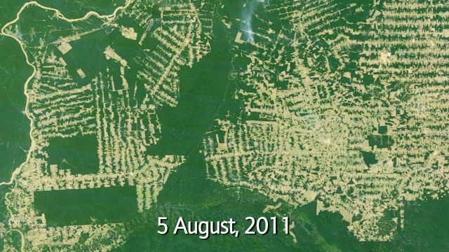 亚马逊森林砍伐,巴西的视频素材