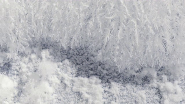 树枝状冰视频素材