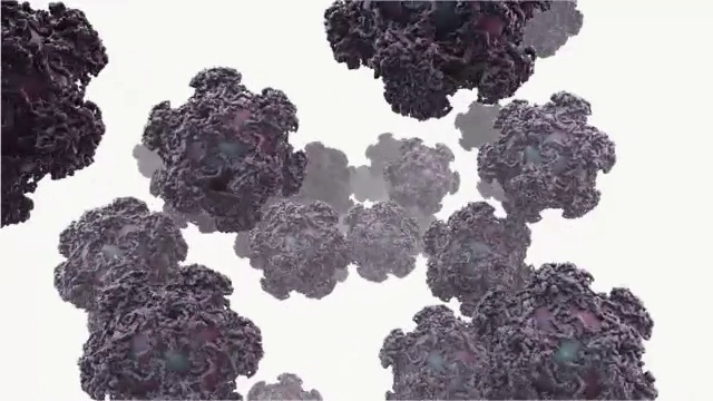 人类乳头瘤病毒16视频素材