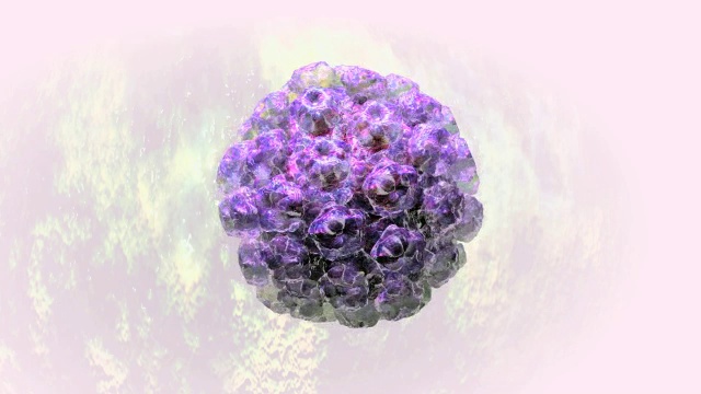 “人类乳头瘤病毒，动画”视频下载
