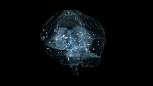 人类的大脑,动画的视频下载
