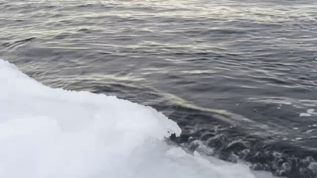 海冰融化视频素材