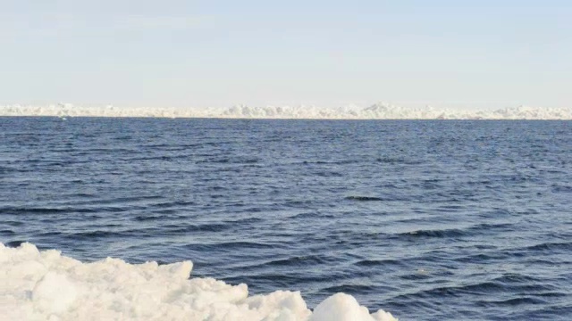 北极海岸视频素材