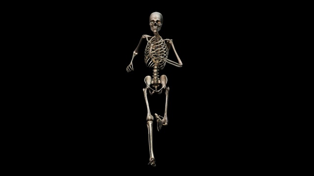 “男性骨骼,运行”视频下载