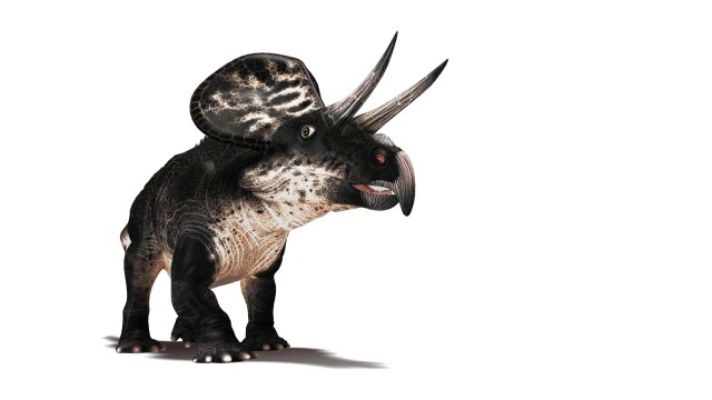 Zuniceratops恐龙行走视频下载