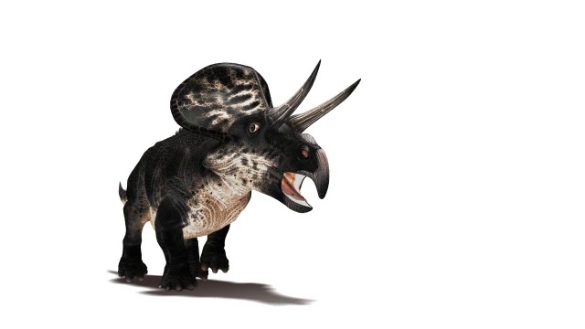 Zuniceratops恐龙运行视频下载