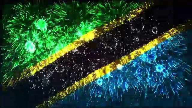 烟花展示坦桑尼亚国旗视频下载