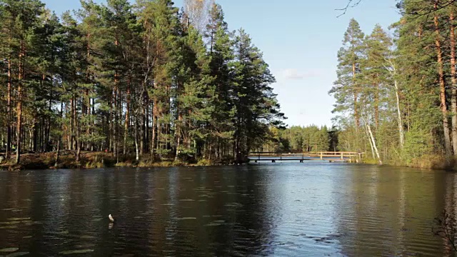 努克西奥国家公园(秋季)，芬兰视频素材