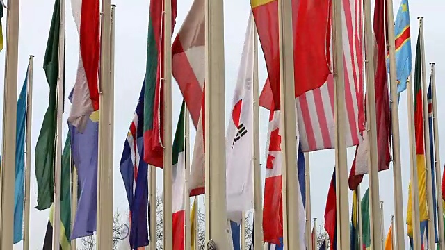 国际旗帜视频下载