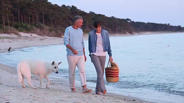 一对老年夫妇在海滩上散步视频素材