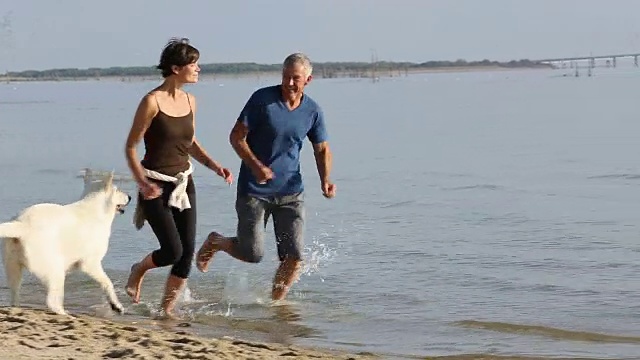 老夫妇和狗在沙滩上跑步视频素材