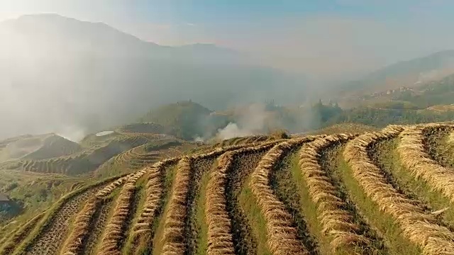 水稻梯田从空中飞起视频下载