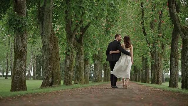 新娘和新郎走在林荫大道上视频下载