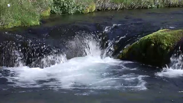 河流从长满苔藓的岩石上流下的特写镜头视频素材