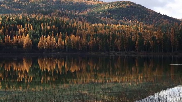 潘文石留下了一片平静的山湖，水面上倒映着金色的树木，天空中浮云密布。视频素材