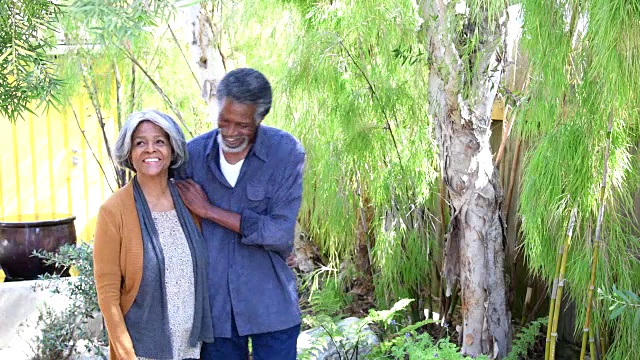 非裔美国老年夫妇在花园里，女人在触摸树视频素材