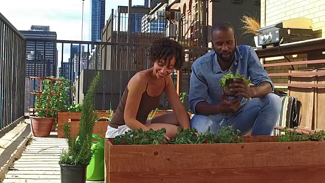 非裔美国人夫妇园艺-慢镜头视频下载