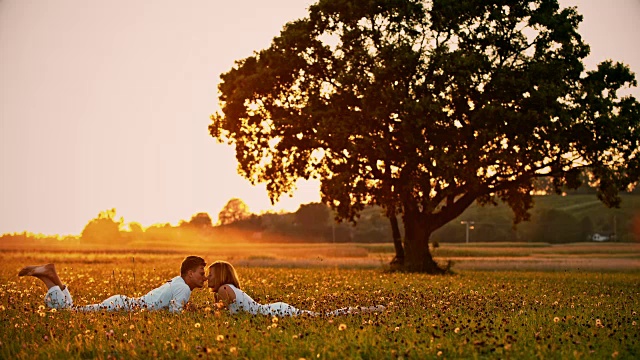 日落时分，一对恋人躺在草地上视频下载