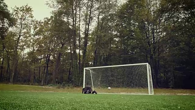 足球比赛时刻与守门员视频下载