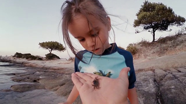 海滩上的小女孩和螃蟹。支持的父亲，学习的过程。视频下载