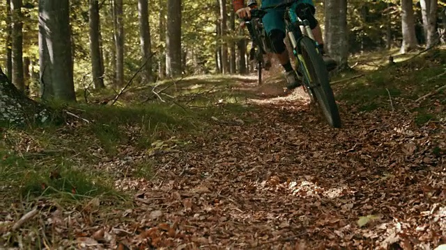 SLO MO山下山地自行车手在森林中穿越弯道视频素材