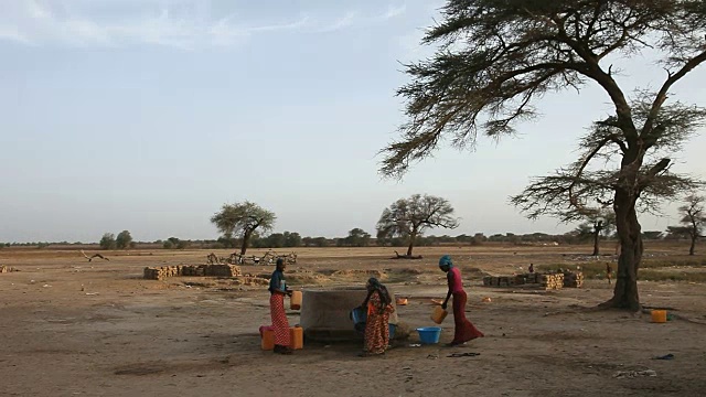塞内加尔，Podor, Djatar村，三位妇女从井里取水视频素材
