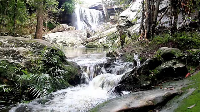 森林深处的瀑布(带声音)视频下载