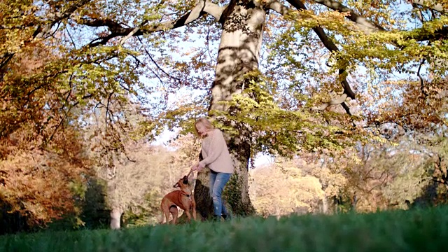 30多岁的金发美女(狗主人)和她的狗在一棵大老树前玩耍视频下载