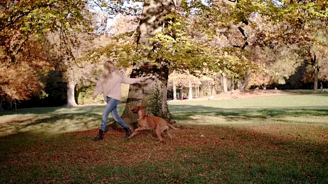 30多岁的金发美女(狗主人)和她的狗在一棵大老树前玩耍视频下载