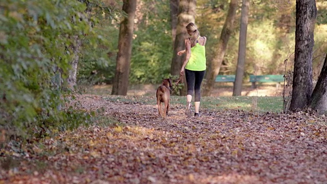 运动女人与长金发在她的30多岁在公园慢跑与她的棕色狗皮带视频下载