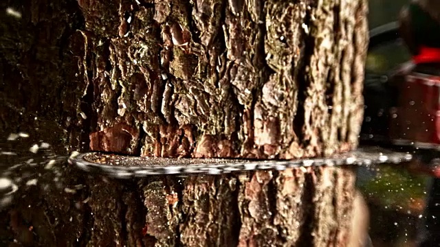 SLO MO锯切树的旋转链视频素材