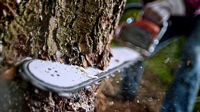 SLO MO链锯砍入一棵树视频素材