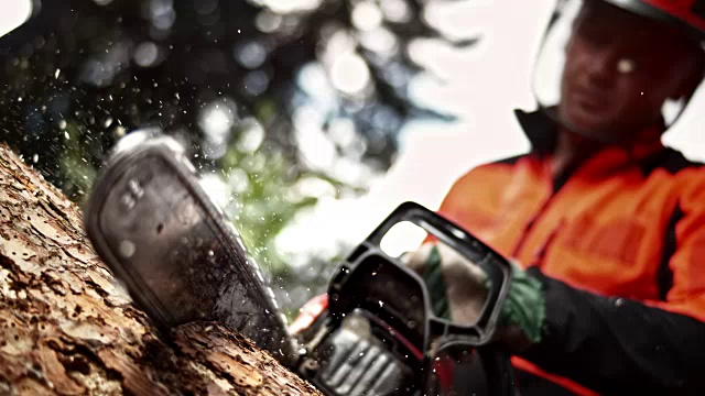 SLO MO伐木工用链锯砍树视频素材