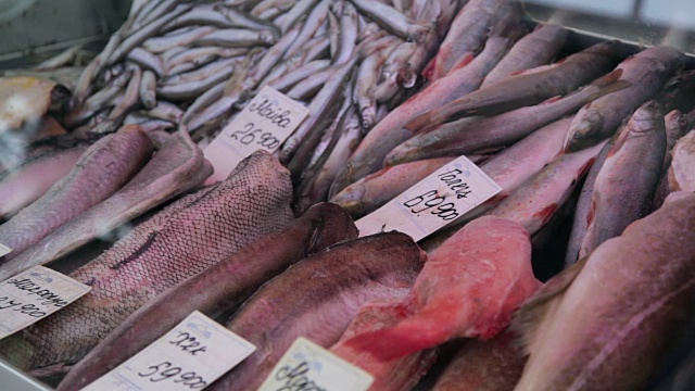 鲜鱼在鱼市出售视频下载