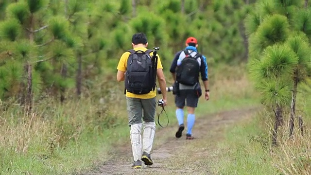 野营友谊徒步背包客和露营森林视频下载