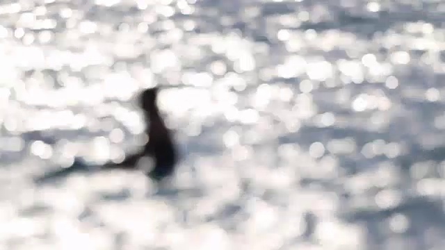 女冲浪者在日落时分冲浪视频素材