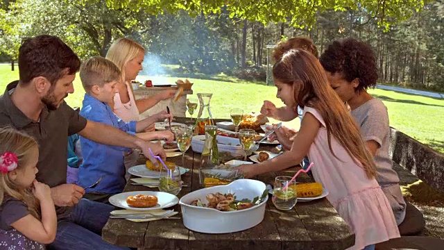 一家人在野餐桌上享受他们的午餐视频素材