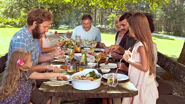 一家人在一个阳光明媚的日子里享受野餐视频下载