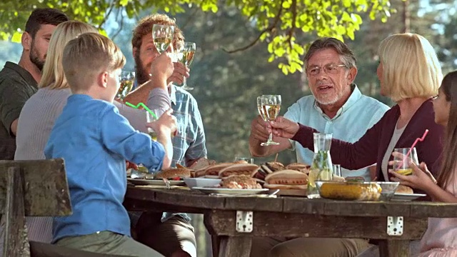 家庭成员在野餐时碰杯视频素材