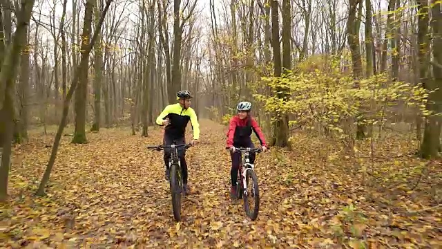 在森林里共享自行车。视频素材