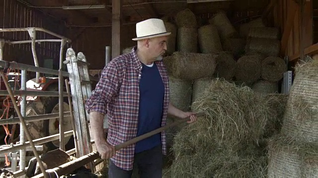 在马厩里扛干草的老人视频下载