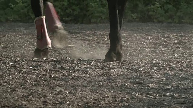 农场里的男孩学习如何骑马视频下载
