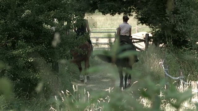 一对在小道上骑马的夫妇视频下载