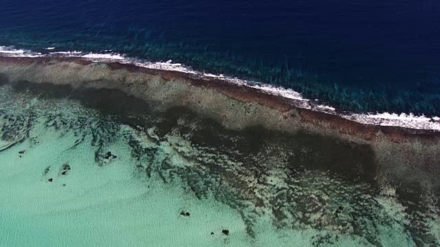 伯利兹:灯塔礁视频素材