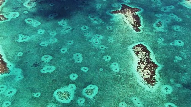 伯利兹:珊瑚礁和小岛视频素材