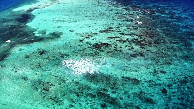 伯利兹:珊瑚礁和小岛视频下载