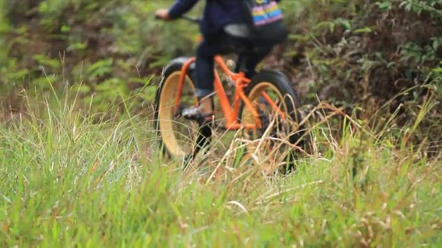 两个自行车手在森林里比赛。在森林里赛跑视频下载